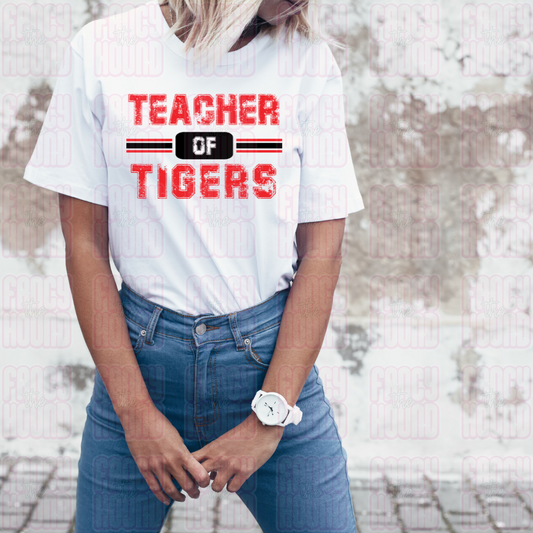 Teacher of Tigers